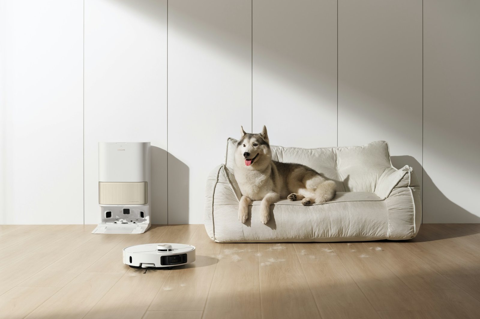 Husky dog rests on couch near robot vacuum cleaner